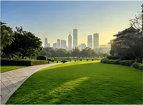 Park alanı