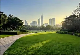 Park alanı